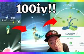 100iv SHINY SNIVY CAUGHT + SHINY SERPERIOR EVOLUTION IN POKEMON GO! ( 6th & 7th Shiny Snivy )