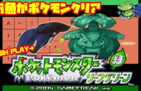 【1260h~_ポケモンタワー編】ペットの魚がポケモンクリア_Fish Play Pokemon【作業用BGM】