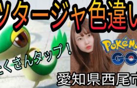 「ポケモンGO」ツタージャ捕獲しまくるぞ愛知県西尾市