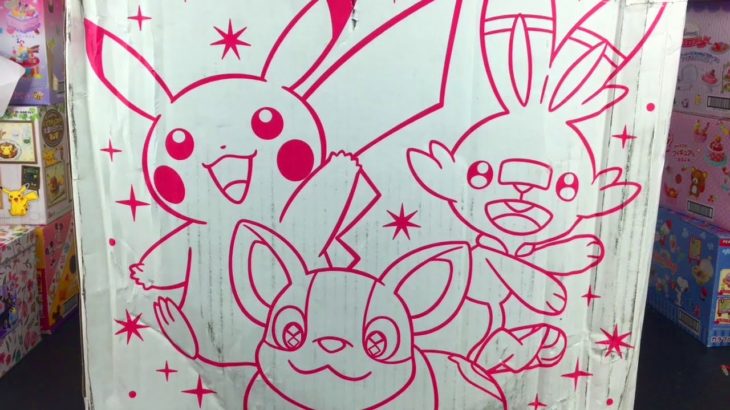 Pokemon Center Lucky Bag 2021 Unboxing Plushies & More  ポケモン福袋ー Fukubukuro New Years PikaPika Box