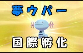 【ポケモン剣盾】【国際孵化】【雑談】夢ウパーの色違い厳選していくよ！421体目～【配布】【概要欄必読】【酸性】