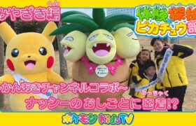 【ポケモン公式】体験探検ピカチュウ部！「みやざき編」-ポケモン Kids TV