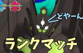 ジガルデ☆パーフェクトンコツ【ポケモン剣盾】