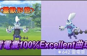 雷電雲(靈獸形態)100%Excellent 曲球  ポケモンGO ボルトロス  霊獣フォルム  Therian forme Thundurus 볼트로스 攻略法  エクセレント 靈獸抓法