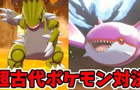 【ポケモン剣盾】ついに出会った!! 晴れと雨の超古代全力バトル!!  グラードンVSカイオーガ 【フラワーギフト】