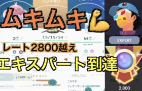 【ハイパープレミア】ムキムキXLポケモンを使って行く！！「GBL GOバトルリーグ　ポケモンGO実況」