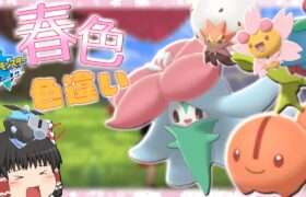 【ポケモン剣盾】色違いヒメンカとチェリンボが可愛すぎた【ゆっくり実況】