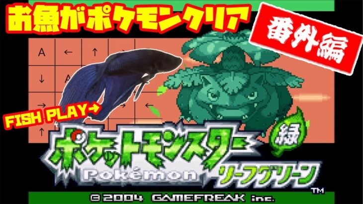 【番外編│3651h~_ ナナシマ編】ペットの魚がポケモンクリア_Fish Play Pokemon【作業用BGM】