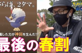 【ポケモンGO】ありがとう春。物語は究極の最終回へ！色違いピンプク＆ワシボンを生むために「新設定」でカチ割ったら涙が止まらなくなったスペシャル！【桜舞い散る】