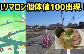 【ポケモンGO】遠方にハリマロンの個体値100出現、ゲットできるのか？