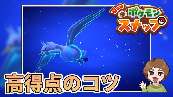 【New ポケモンスナップ】今日から始める人は絶対見てほしい！高得点を獲得するコツ！！【ポケスナ】【ぽんすけ】