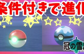 【ポケモンソードシールド】今更だけど条件付き進化させてみた！冠の雪原【エキスパンションパス】