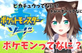 【ポケモンソード】初見だけどポケモンセンター封鎖したい【にじさんじ】【文野環/野良猫】