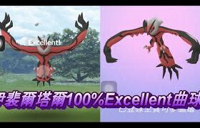 伊裴爾塔爾100%Excellent曲球Pokemon Go ポケモンGO イベルタル Yveltal 이벨타르 攻略法 エクセレント 定圈 抓法 教學 手勢 輔助觸控 AssistiveTouch