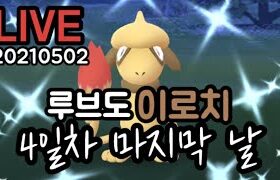 [포켓몬고] 루브도 이로치 마지막 날! Pokemon Go Korea