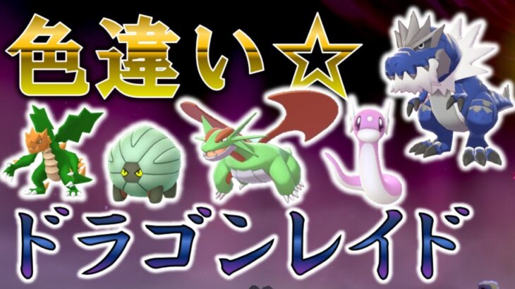 🎁色違いレイド 　ドラゴンランダム SHINY RAIDS【ポケモン剣盾】【ライブ】