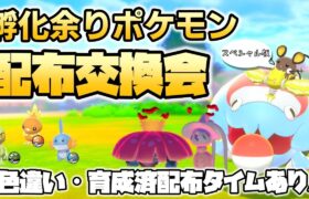 【色違い配布タイムあり】オシャボ孵化余りポケモン配布・交換会～スペシャル版～【ポケモン剣盾】