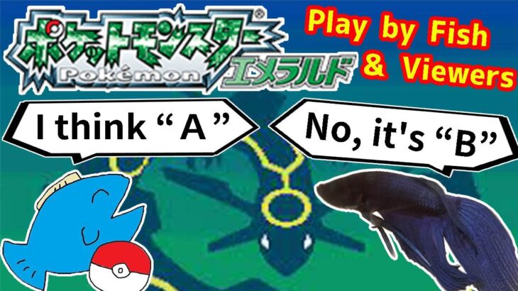 【434h~_ エキシビション】お魚と視聴者でポケモンクリア_Play Pokémon with viewers and fish