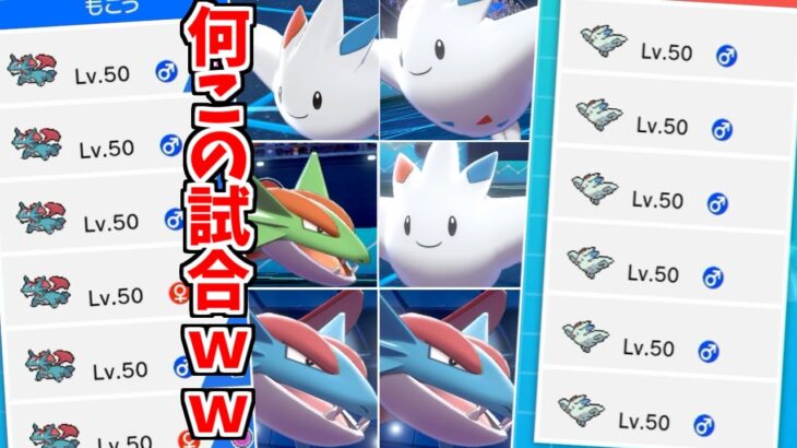 大会で起きた”ボーマンダ6体vsトゲキッス6体”の試合が凄すぎるwww【ポケモン剣盾】