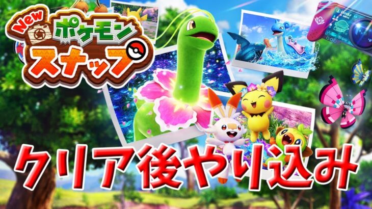 『New ポケモンスナップ』リクエスト攻略【雪原＆洞窟】