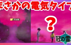 【ポケモンソードシールド】電気タイプのしつこい伝説！協力して反撃しないと！？冠の雪原【エキスパンションパス】