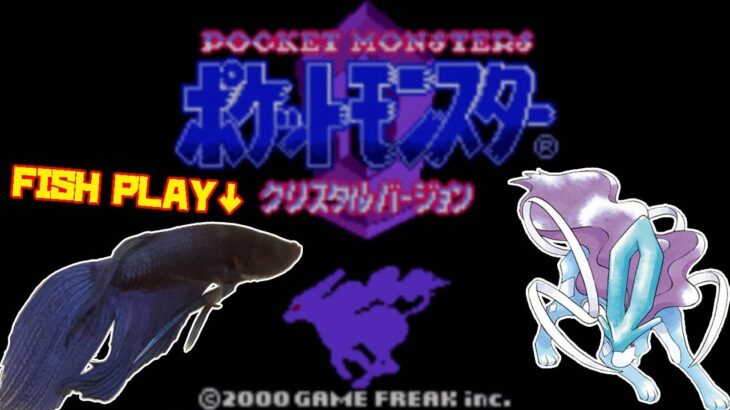 【ワカバタウン編│96h~】ペットの魚がポケモンクリア_Fish Play Pokemon【作業用BGM】