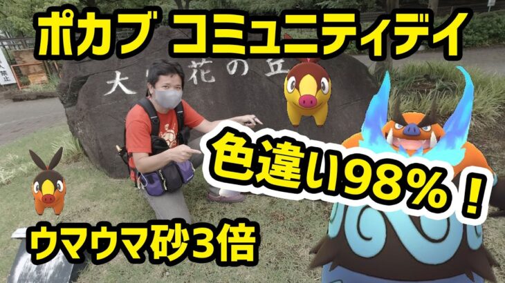 【ポケモンGO】砂3倍、ルアーモジュール満開、帰るのかい？ポカブのコミュニティデイ