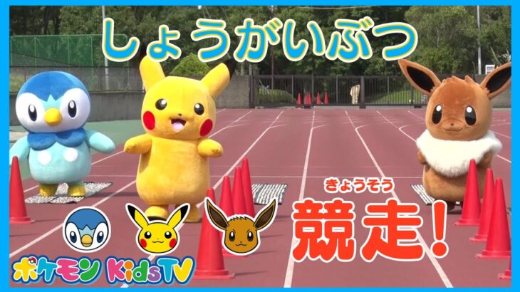 【ポケモン公式】勝つのはだあれ！？ポッチャマ vs ピカチュウ vs イーブイ「しょうがいぶつ競走」－ポケモン Kids TV