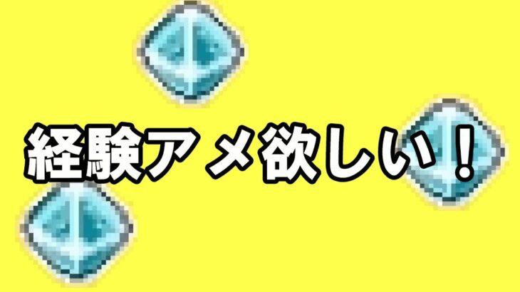 【ポケモン剣盾】【アメ集め】【視聴者参加型】予定変更、星5デリバードレイド参加したい人集まれ！【配布】【概要欄必読】【酸性】