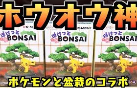 【食玩】ホウオウ神すぎる『ポケモン ぽけっとBONSAI』開封レビュー【おもちゃ】フィギュア クチートもラインナップ！