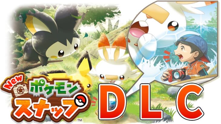 きたぞDLC！夜のNewポケモンスナップ