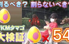 【ポケモンGO】7KMタマゴ54連！これを見れば卵を割るべきか割らないべきかわかります。限定色違いアイアント、クイタランは果たして！？【ウルトラアンロック2021】