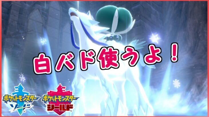 【ポケモン剣盾】白バド黒バドを両方所持できるようにして下さい。お願い。３００円あげるから【ダブルバトル】