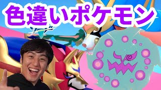 【ポケモン剣盾】#5　ダイパリメイク前に色違いミカルゲ探し！