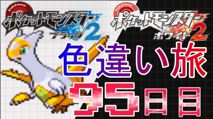 色違いのみで殿堂入り目指す！～95日目～