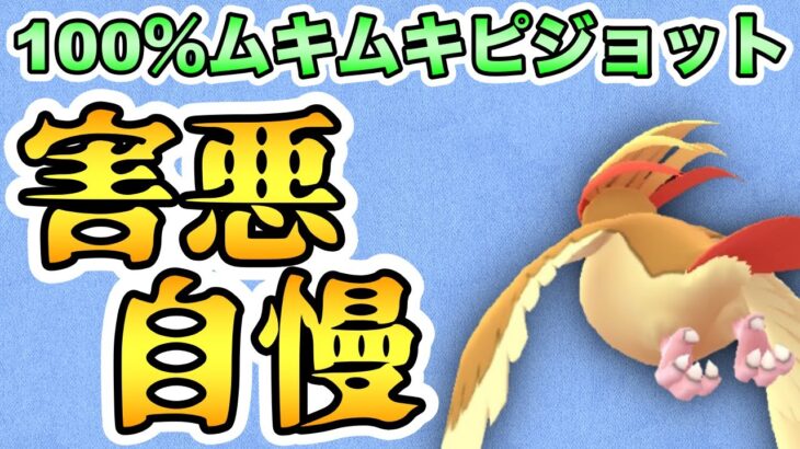 【ポケモンGO】害悪じゃない綺麗なピジョットを目指す配信