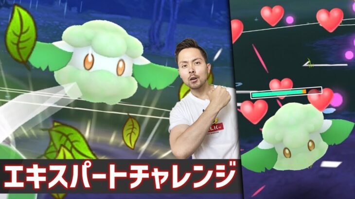 ジャングルでエキスパートチャンレジ！レートぶち上げろ！【ポケモンGO】