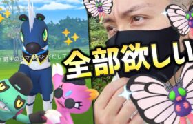 グラサンPINKニューラは無課金で狙える！色違い確率超アップ中だったりする！？【ポケモンGO】