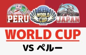 ポケモンワールドカップ vsペルー 第2試合【ポケモン剣盾/ダブルバトル】