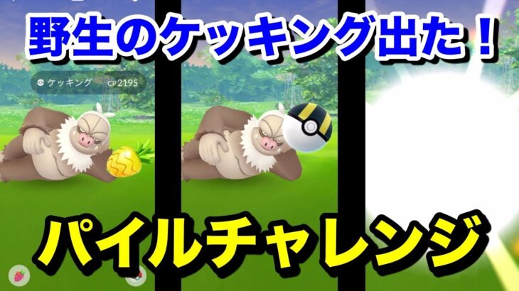 【ポケモンGO】超久しぶりの激レアパイルチャレンジ！