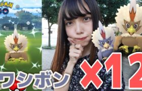 【ポケモンGO】色違いのワシボン狙ってワシボンタスク12回！色違いも出たぁああ