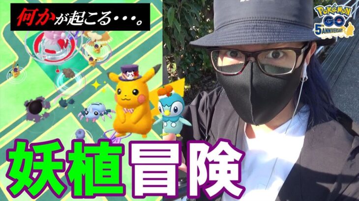 【ポケモンGO】兵は詭道なり！色違え仮装ピカチュウ＆ポッチャマ！「怪しい植物」の激アツポイントを解説しながら野生調査を行っていたら「えげつねぇ展開」が巻き起こったスペシャル！【4種のアンノーン】