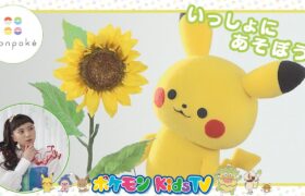 【ポケモン公式】もんぽけといっしょにあそぼう！「あつめてみよう」編－ポケモン Kids TV