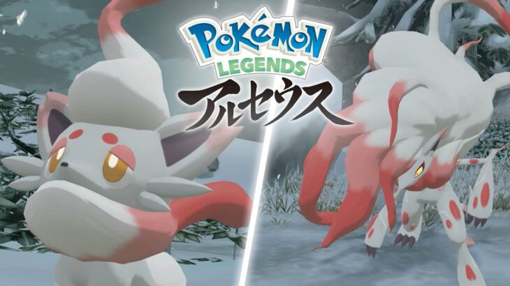 【公式】『Pokémon LEGENDS アルセウス』新報 其の弍　ヒスイのすがたのゾロア・ゾロアーク篇