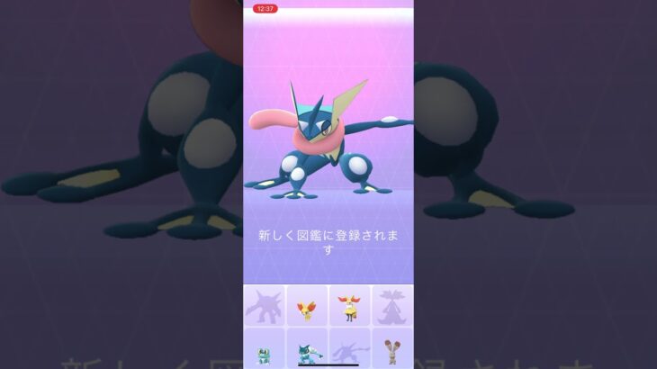 ゲコガシラ→ゲッコウガ　ポケモンgo  ポケモンGO PokémonGO japan