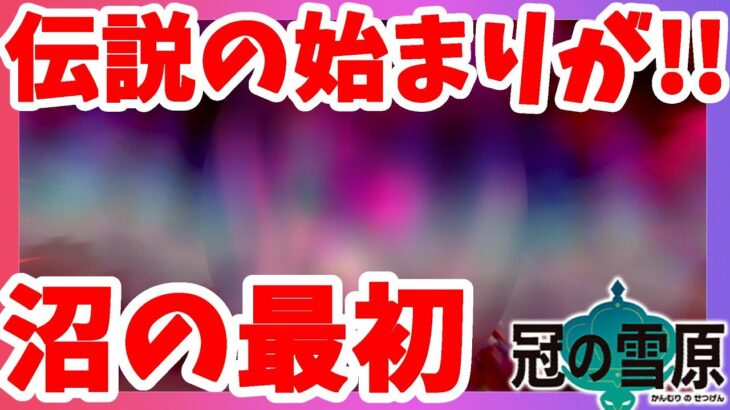 【ポケモンソードシールド】最初の伝説ポケモン！ここからすべてが始まった！冠の雪原【エキスパンションパス】