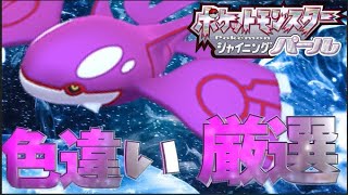 【ポケモン ダイパリメイク】色違いカイオーガを手にする配信者# 1【神回を作る】