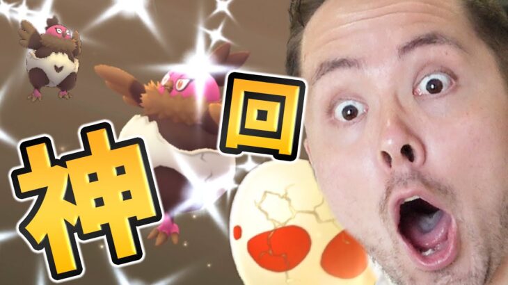 神回！？奇跡の12卵12連！！バルチャイが光る？！確率アップ！？【ポケモンGO】