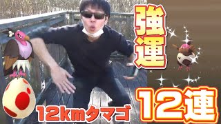 色違いマネネが来る前に12kmタマゴで運試ししたらとんでもないことがおきた【ポケモンGO】