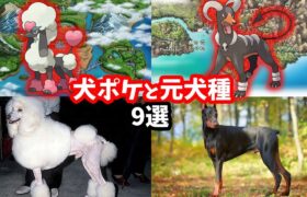 犬ポケモンと元ネタ犬種9匹まとめ【モデル・生態】